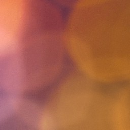 Bokeh-332